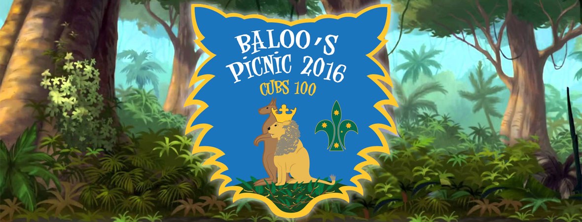 Baloo's Picnic Scouts 2016