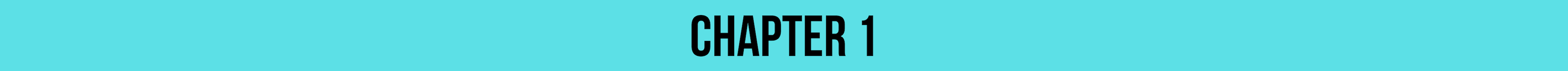 Chapter 1 Chapter 1