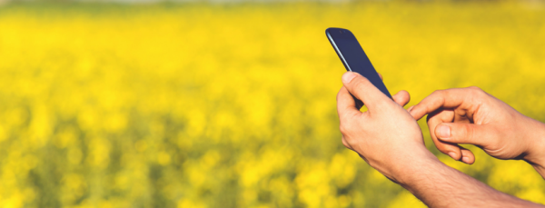 100+ Facts on Mobile Marketing