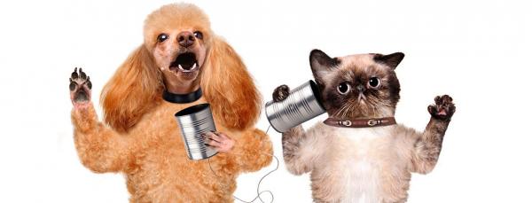 A True Friendship: Smartphones and SMS Marketing