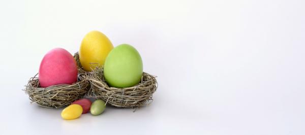 Hop to it this Easter with bulk SMS