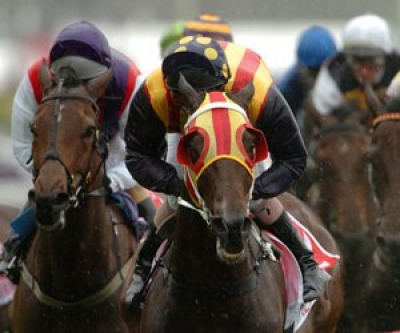 Horse Racing Horse Racing