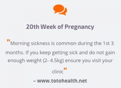 Totohealth SMS Message Totohealth SMS Message