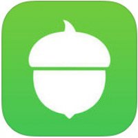 Acorn Acorn